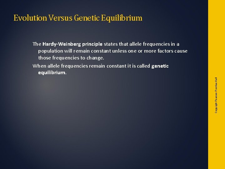 Evolution Versus Genetic Equilibrium Copyright Pearson Prentice Hall The Hardy-Weinberg principle states that allele Evolution Versus Genetic Equilibrium Copyright Pearson Prentice Hall The Hardy-Weinberg principle states that allele