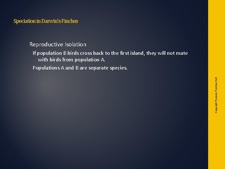 Speciation in Darwin's Finches Reproductive Isolation Copyright Pearson Prentice Hall If population B birds Speciation in Darwin's Finches Reproductive Isolation Copyright Pearson Prentice Hall If population B birds