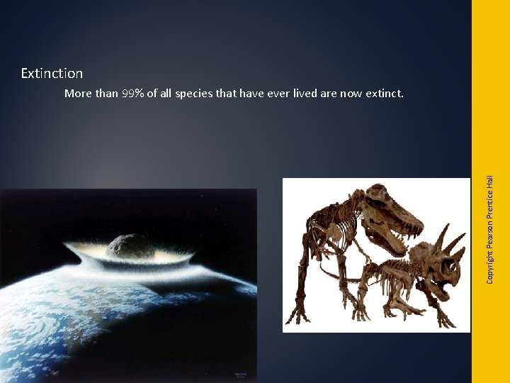 Extinction Copyright Pearson Prentice Hall More than 99% of all species that have ever Extinction Copyright Pearson Prentice Hall More than 99% of all species that have ever
