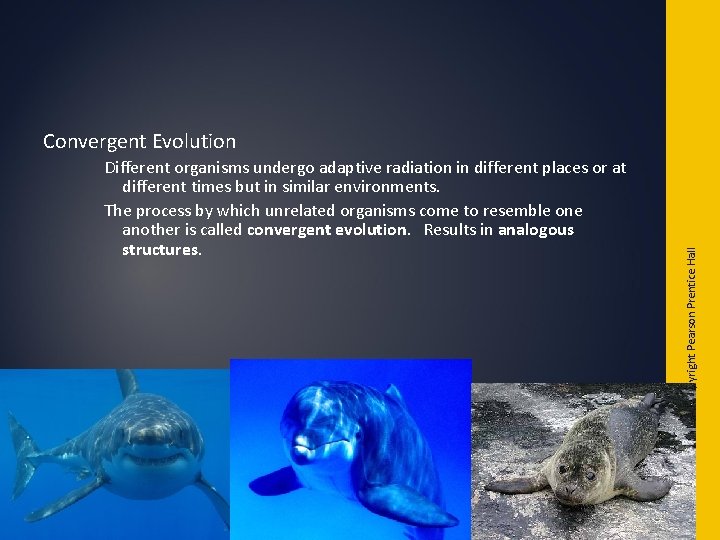 Different organisms undergo adaptive radiation in different places or at different times but in Different organisms undergo adaptive radiation in different places or at different times but in