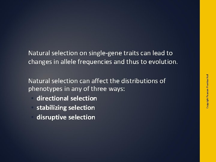 Natural selection can affect the distributions of phenotypes in any of three ways: • Natural selection can affect the distributions of phenotypes in any of three ways: •