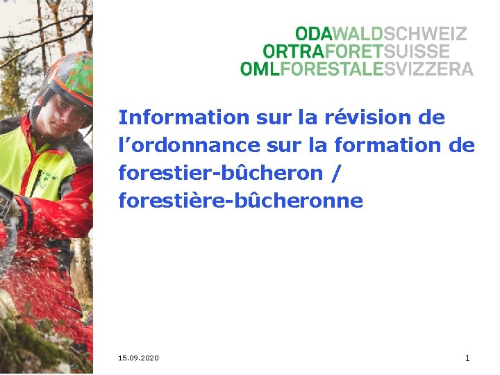 Information sur la révision de l’ordonnance sur la formation de forestier-bûcheron / forestière-bûcheronne 15.