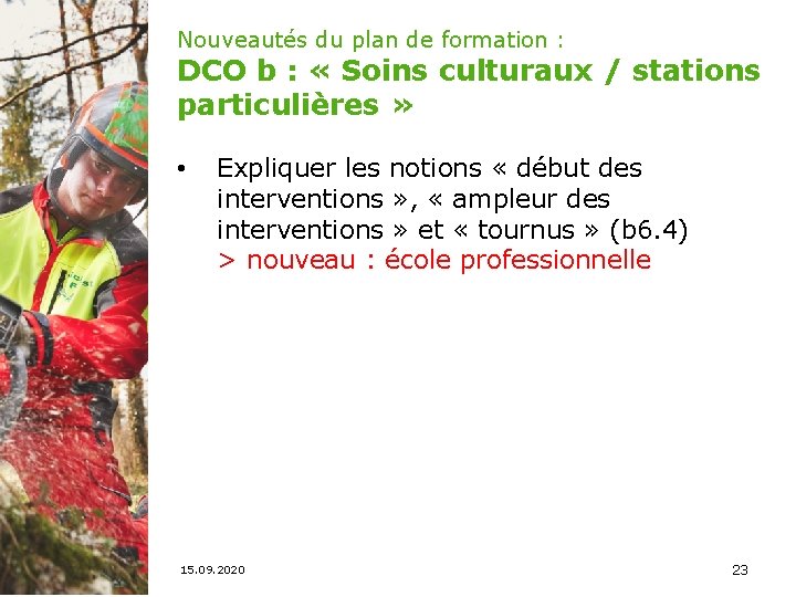 Nouveautés du plan de formation : DCO b : « Soins culturaux / stations