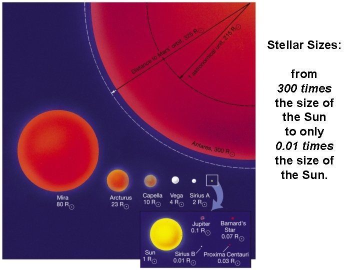 Stellar Sizes: from 300 times the size of the Sun to only 0. 01