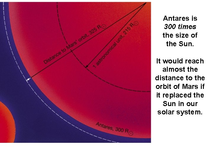 Antares is 300 times the size of the Sun. It would reach almost the