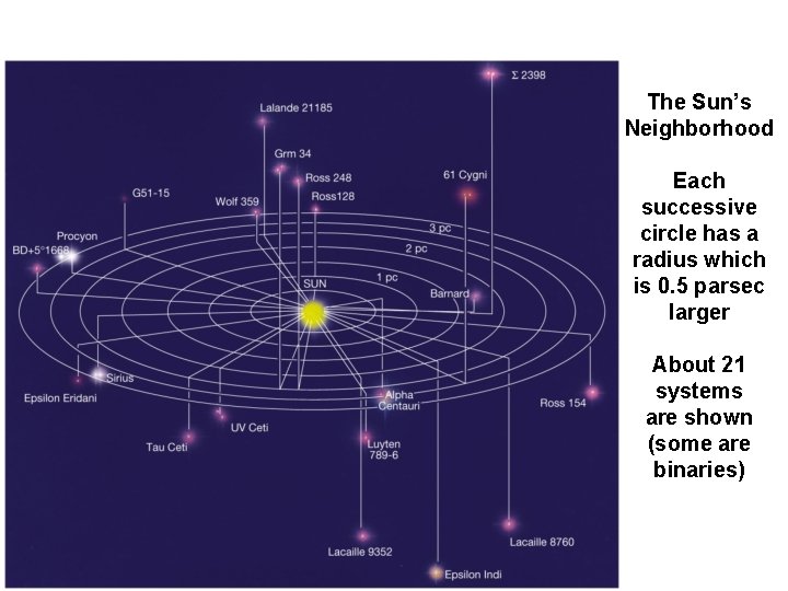 The Sun’s Neighborhood Each successive circle has a radius which is 0. 5 parsec