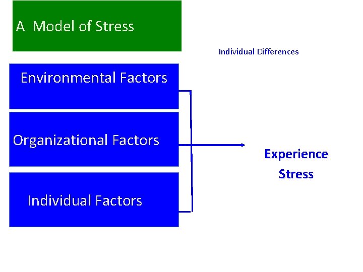 A Model of Stress Individual Differences Environmental Factors Organizational Factors Individual Factors Experience Stress