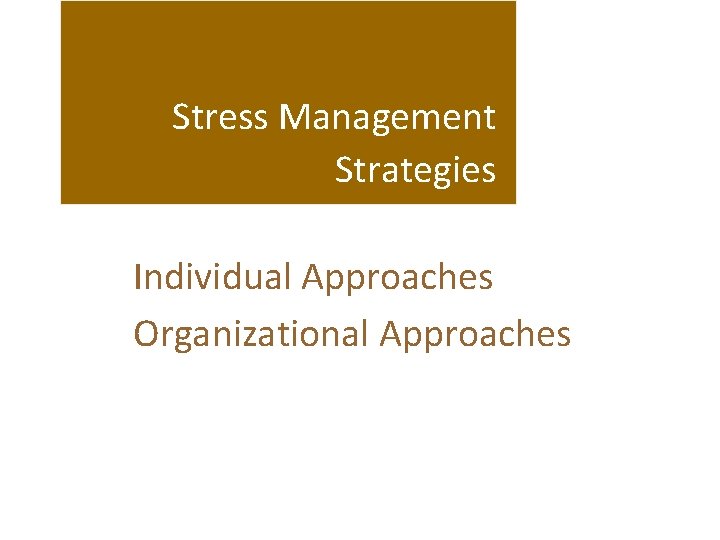 Stress Management Strategies Individual Approaches Organizational Approaches 