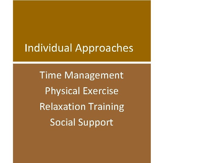 Individual Approaches Time Management Physical Exercise Relaxation Training Social Support 