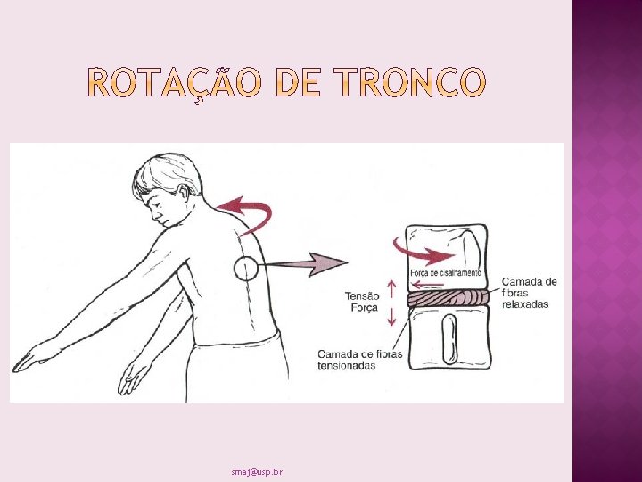 smaj@usp. br 