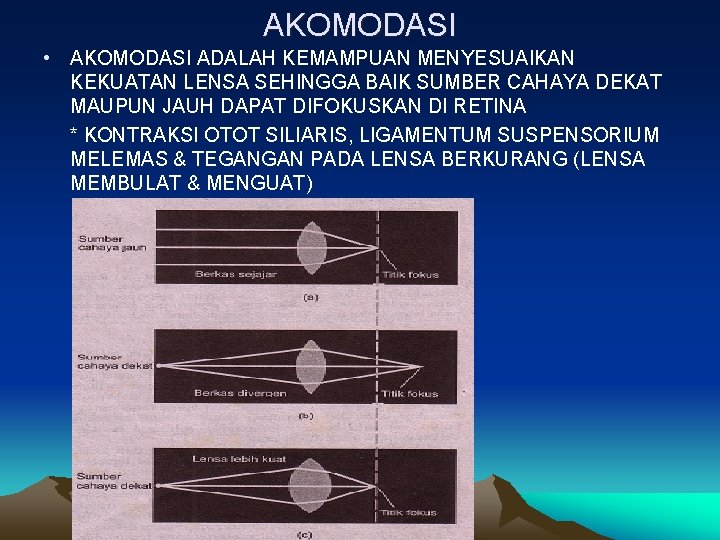 AKOMODASI • AKOMODASI ADALAH KEMAMPUAN MENYESUAIKAN KEKUATAN LENSA SEHINGGA BAIK SUMBER CAHAYA DEKAT MAUPUN