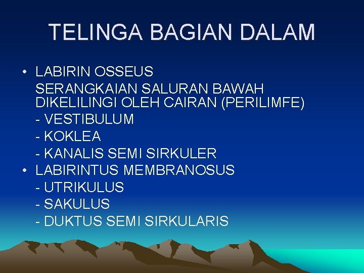 TELINGA BAGIAN DALAM • LABIRIN OSSEUS SERANGKAIAN SALURAN BAWAH DIKELILINGI OLEH CAIRAN (PERILIMFE) -