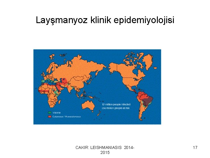 Layşmanyoz klinik epidemiyolojisi CAKIR: LEISHMANIASIS 20142015 17 