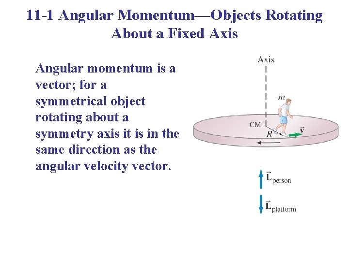 11 -1 Angular Momentum—Objects Rotating About a Fixed Axis Angular momentum is a vector;