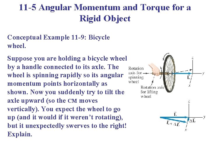 11 -5 Angular Momentum and Torque for a Rigid Object Conceptual Example 11 -9: