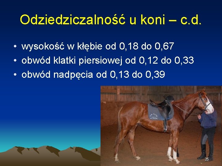 Odziedziczalność u koni – c. d. • wysokość w kłębie od 0, 18 do