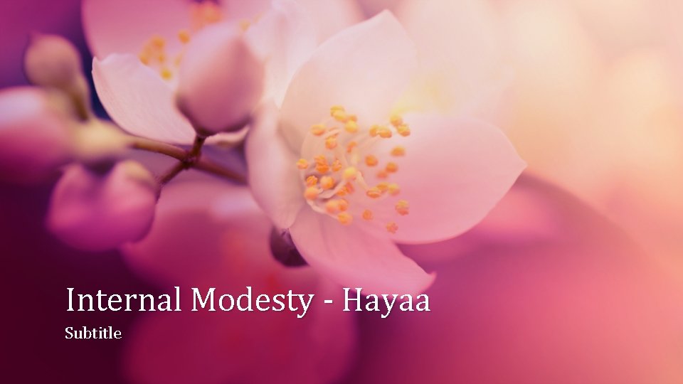 Internal Modesty - Hayaa Subtitle 
