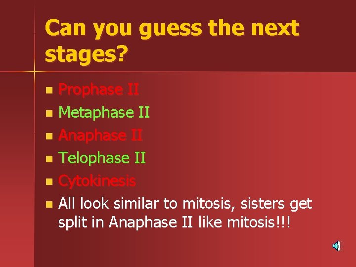Can you guess the next stages? Prophase II n Metaphase II n Anaphase II