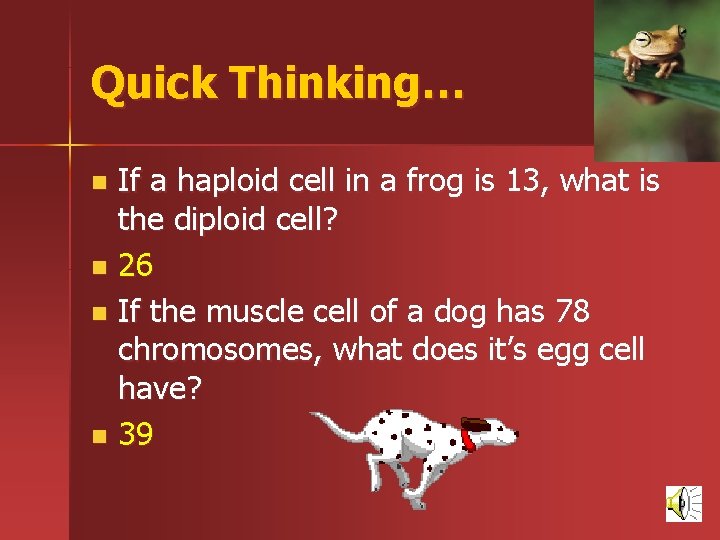 Quick Thinking… If a haploid cell in a frog is 13, what is the