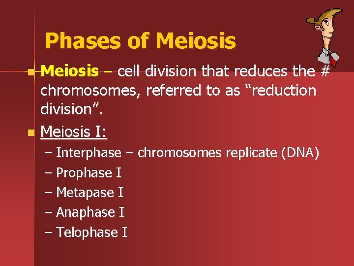 Phases of Meiosis – cell division that reduces the # chromosomes, referred to as