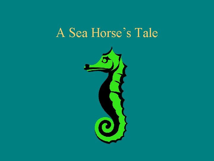 A Sea Horse’s Tale 