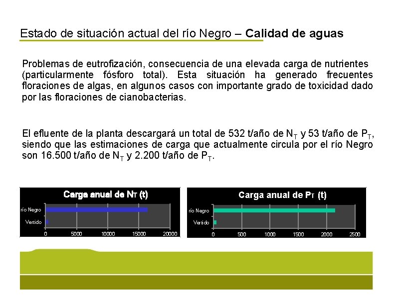 Estado de situación actual del río Negro – Calidad de aguas Problemas de eutrofización,