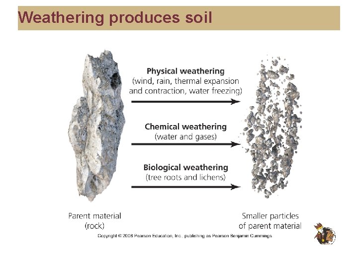 Weathering produces soil 