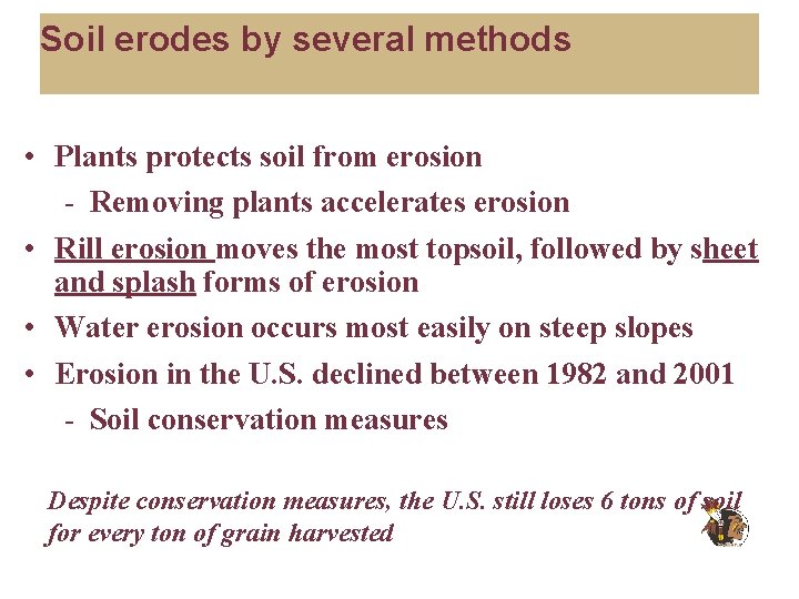 Soil erodes by several methods • Plants protects soil from erosion - Removing plants