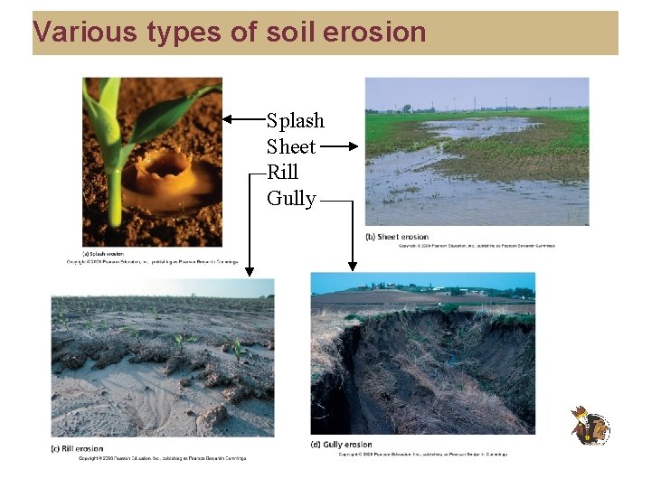 Various types of soil erosion Splash Sheet Rill Gully 