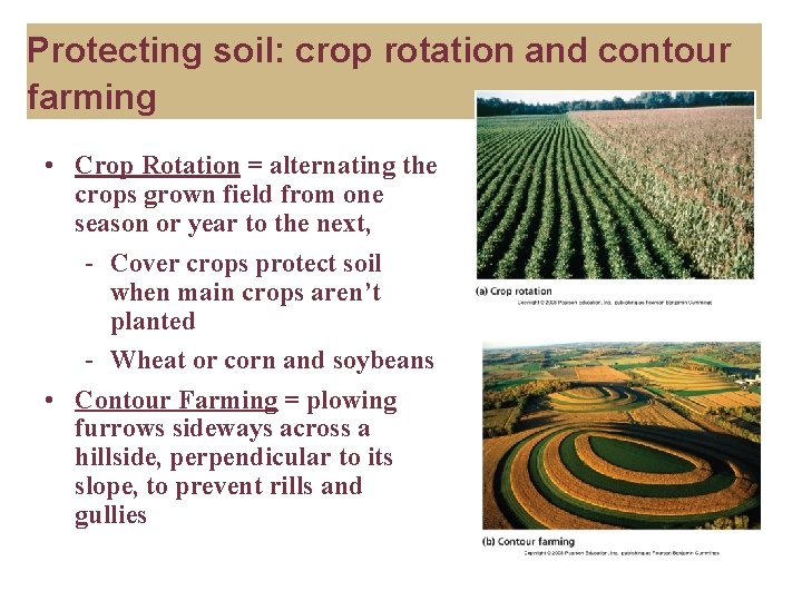 Protecting soil: crop rotation and contour farming • Crop Rotation = alternating the crops