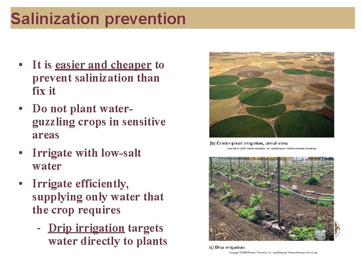 Salinization prevention • It is easier and cheaper to prevent salinization than fix it