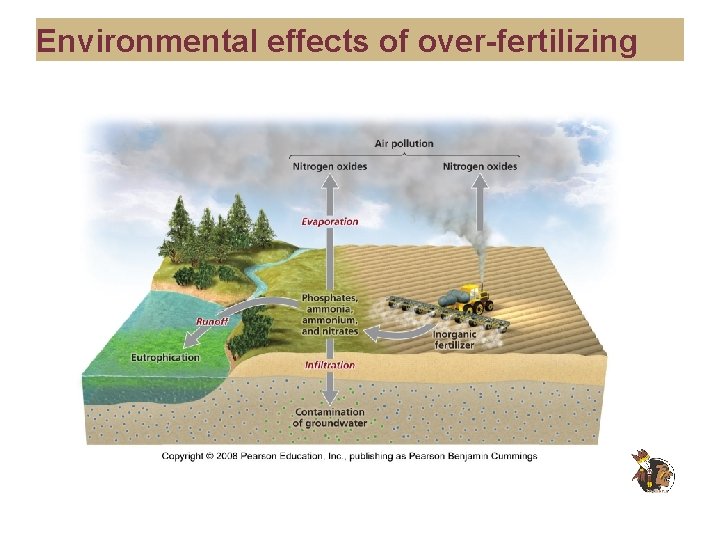 Environmental effects of over-fertilizing 