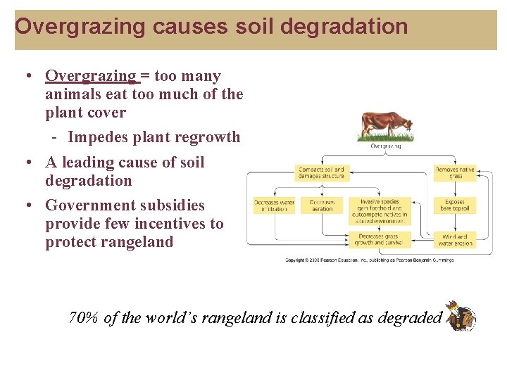 Overgrazing causes soil degradation • Overgrazing = too many animals eat too much of