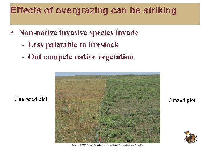 Effects of overgrazing can be striking • Non-native invasive species invade - Less palatable