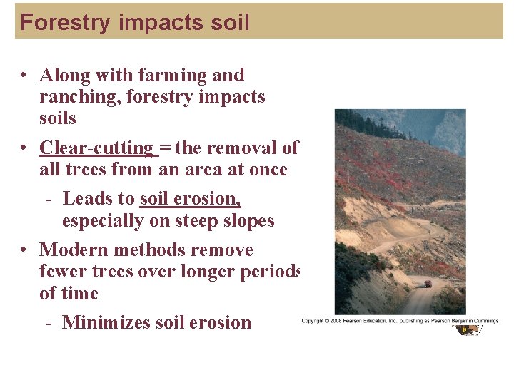 Forestry impacts soil • Along with farming and ranching, forestry impacts soils • Clear-cutting