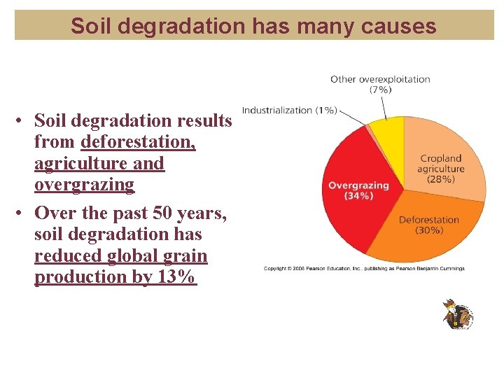 Soil degradation has many causes • Soil degradation results from deforestation, agriculture and overgrazing