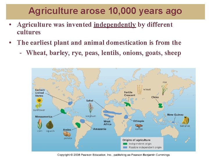 Agriculture arose 10, 000 years ago • Agriculture was invented independently by different cultures