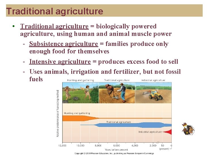 Traditional agriculture • Traditional agriculture = biologically powered agriculture, using human and animal muscle