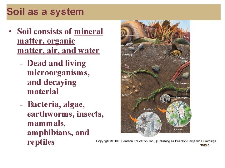 Soil as a system • Soil consists of mineral matter, organic matter, air, and