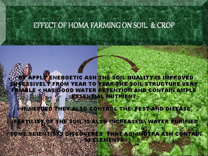 üBY APPLY ENERGETIC ASH THE SOIL QUALITY IS IMPROVED SUCESSIVELY FROM YEAR TO YEAR