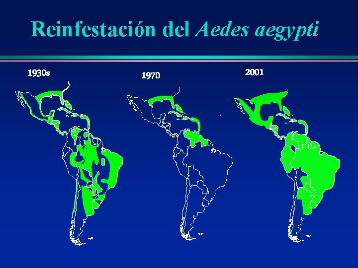 Reinfestación del Aedes aegypti 1930 s 1970 2001 