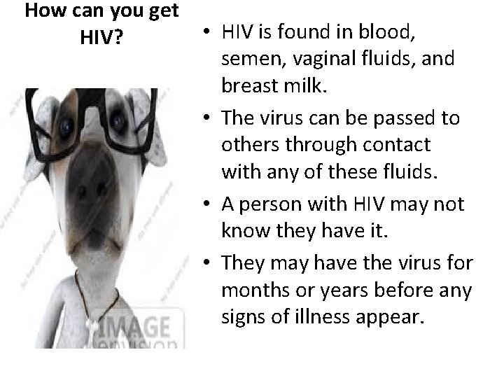 How can you get HIV? • HIV is found in blood, semen, vaginal fluids,