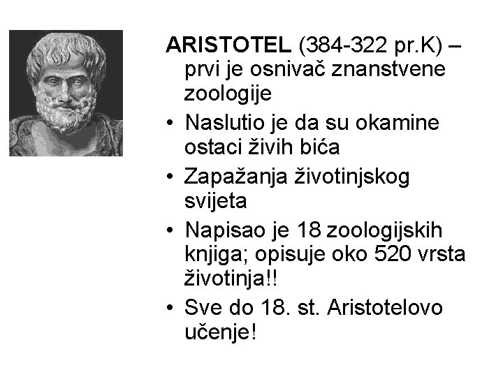 ARISTOTEL (384 -322 pr. K) – prvi je osnivač znanstvene zoologije • Naslutio je