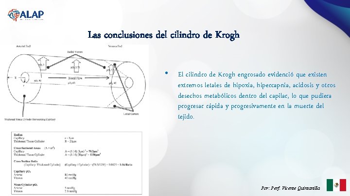 Las conclusiones del cilindro de Krogh • El cilindro de Krogh engrosado evidenció que