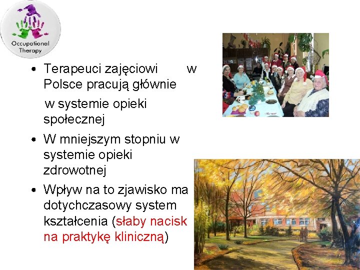  • Terapeuci zajęciowi w Polsce pracują głównie w systemie opieki społecznej • W