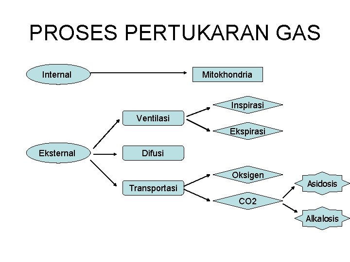 PROSES PERTUKARAN GAS Mitokhondria Internal Inspirasi Ventilasi Ekspirasi Eksternal Difusi Oksigen Transportasi Asidosis CO PROSES PERTUKARAN GAS Mitokhondria Internal Inspirasi Ventilasi Ekspirasi Eksternal Difusi Oksigen Transportasi Asidosis CO