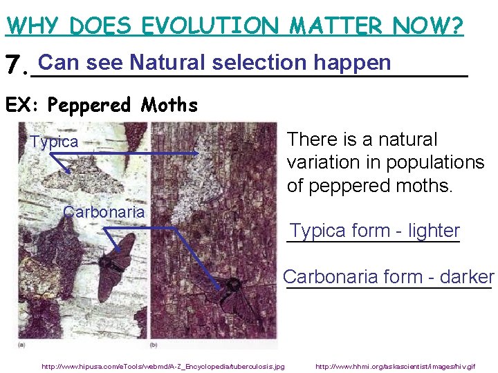 WHY DOES EVOLUTION MATTER NOW? Can see Natural selection happen 7. ______________ EX: Peppered