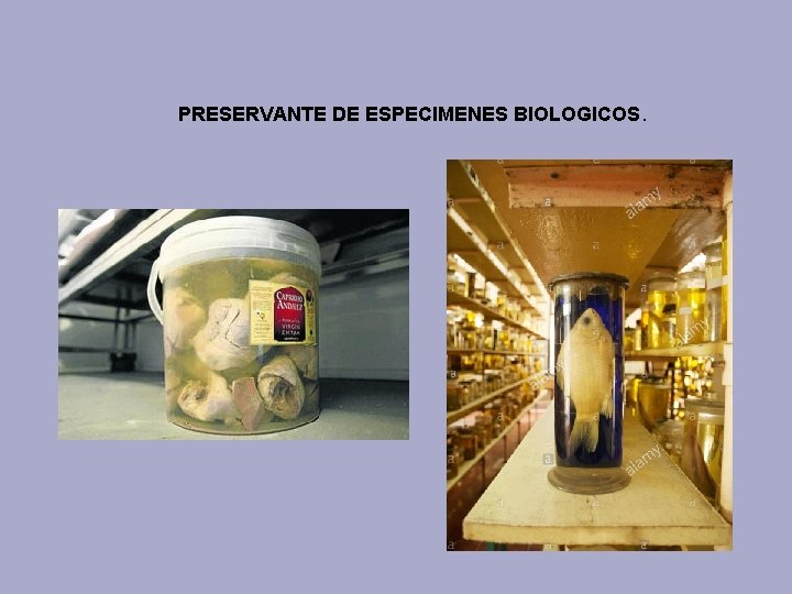 PRESERVANTE DE ESPECIMENES BIOLOGICOS. 