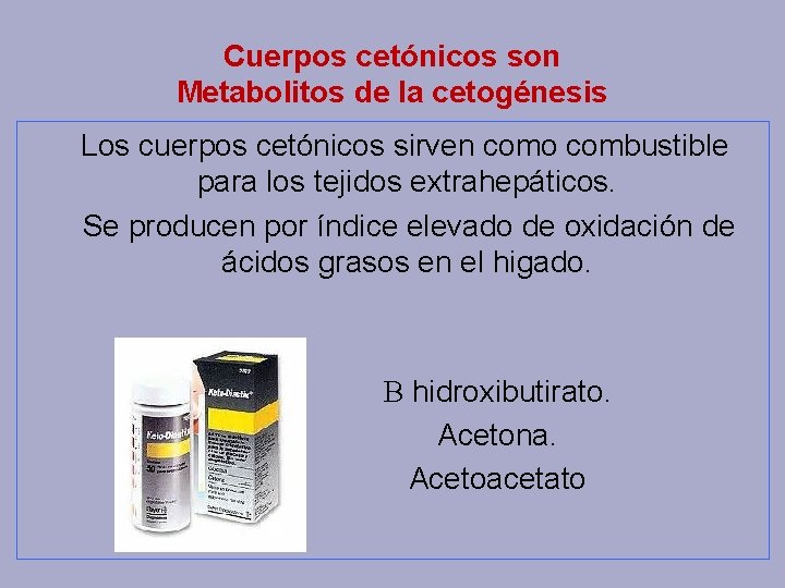 Cuerpos cetónicos son Metabolitos de la cetogénesis Los cuerpos cetónicos sirven como combustible para
