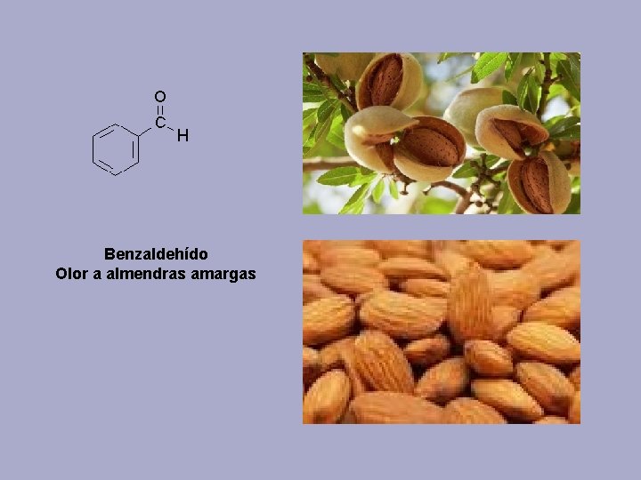 Benzaldehído Olor a almendras amargas 